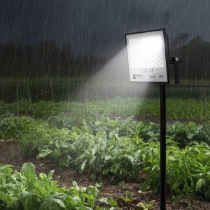 100W SOLAR FLOOD LIGHT Eternal Lighting Zimbabwe